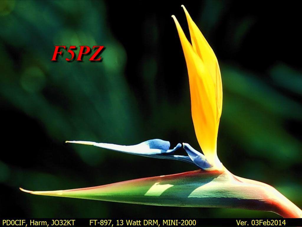 Bild_21