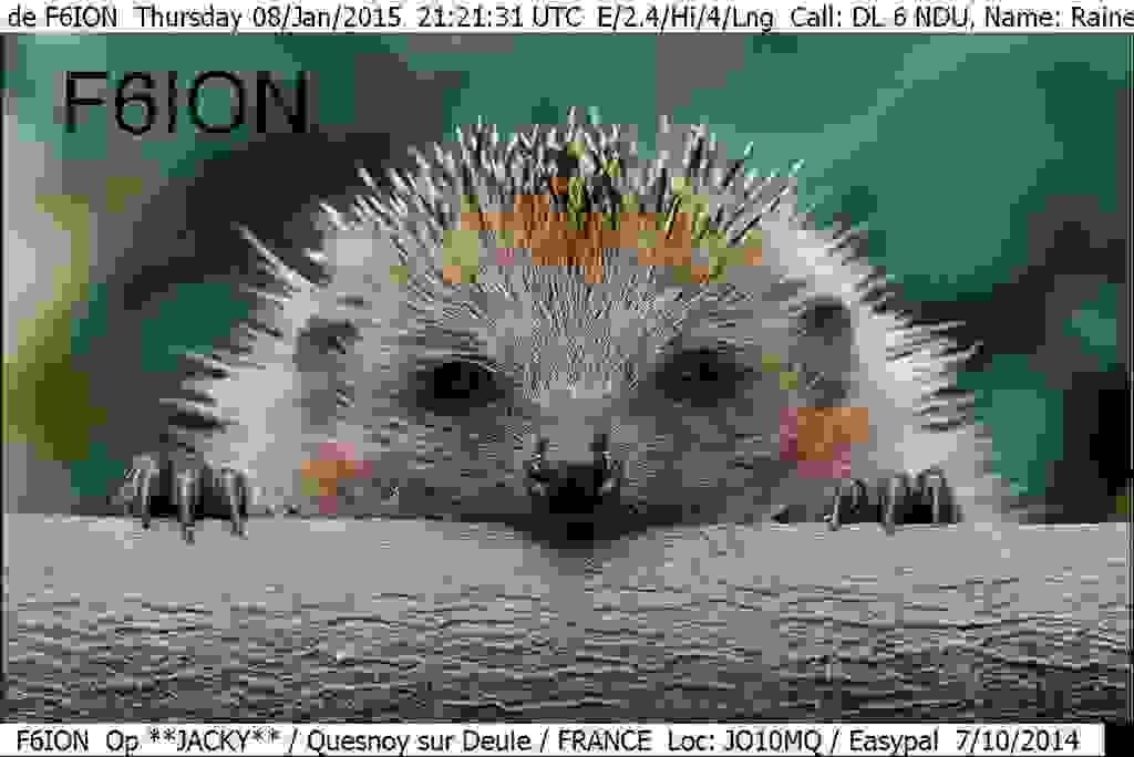 Bild_23