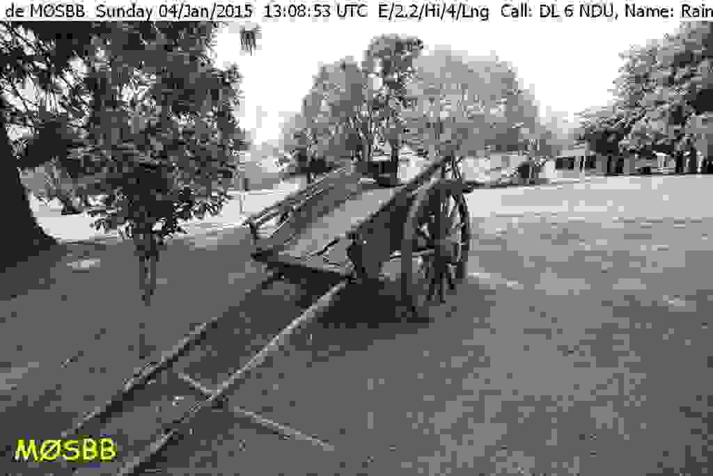 Bild_31