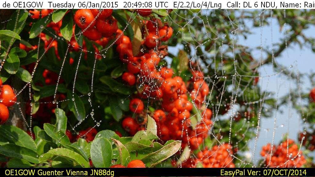 Bild_44