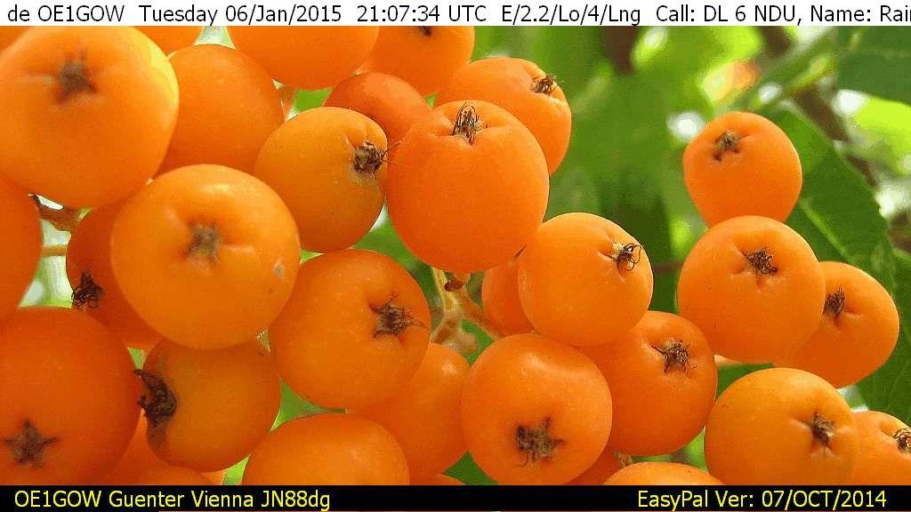 Bild_48